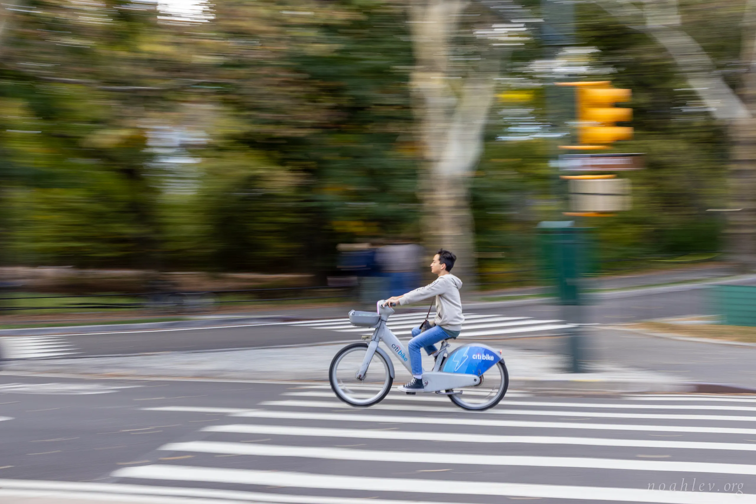Central Park, New York City, 2025